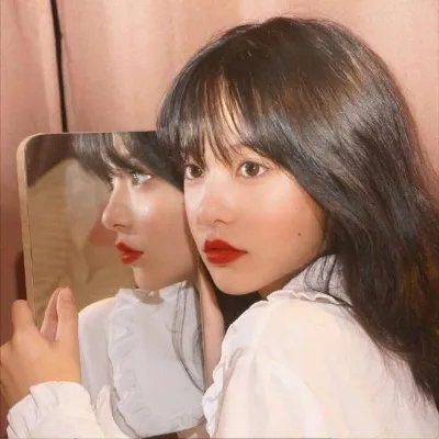 观鸟大年